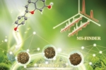 澳科大中药质量研究国家重点实验室 在食药同源中药研究方面取得重要成果